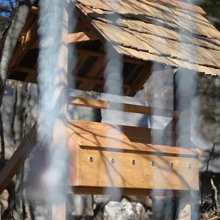 Kosutnik Velika Planina Kamniska Bistrica