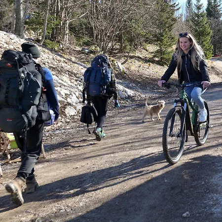 Kosutnik Velika Planina Chalet