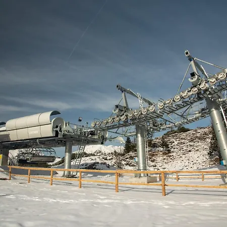 Kosutnik Velika Planina Chalet