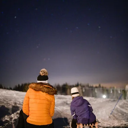 Kosutnik Velika Planina Chalet *