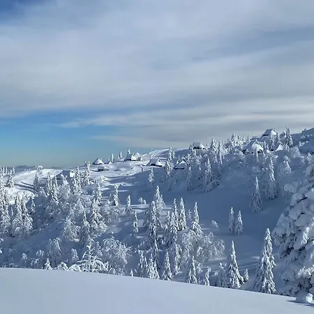 Kosutnik Velika Planina Kamniska Bistrica