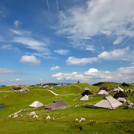 Kosutnik Velika Planina Kamniska Bistrica