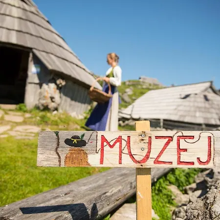 Kosutnik Velika Planina Kamniska Bistrica