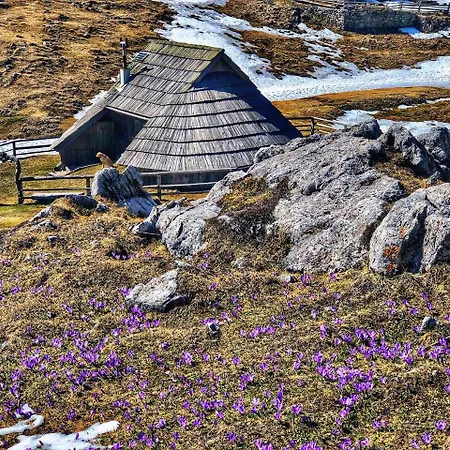 Kosutnik Velika Planina * Kamniska Bistrica