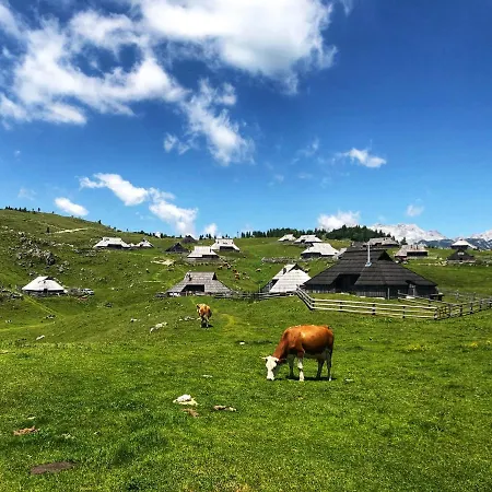 Chalet Kosutnik Velika Planina Kamniska Bistrica