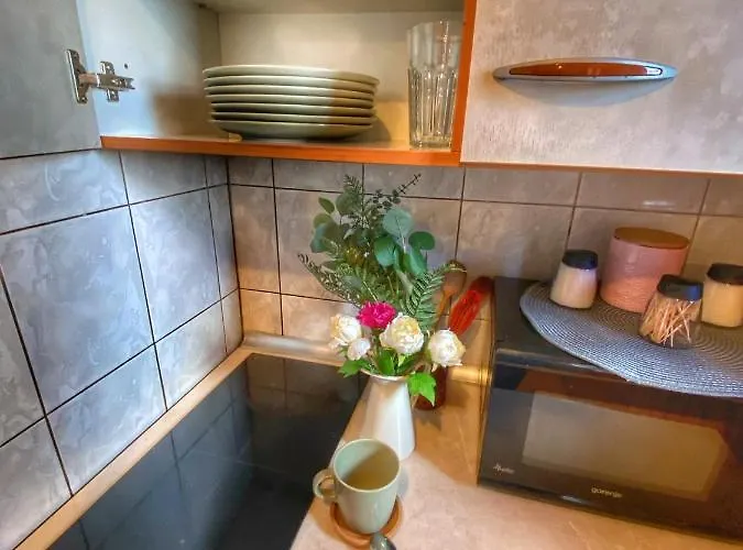 Kosutnik Velika Planina Kamniska Bistrica