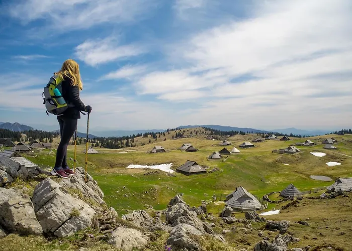 シャレー Kosutnik Velika Planina