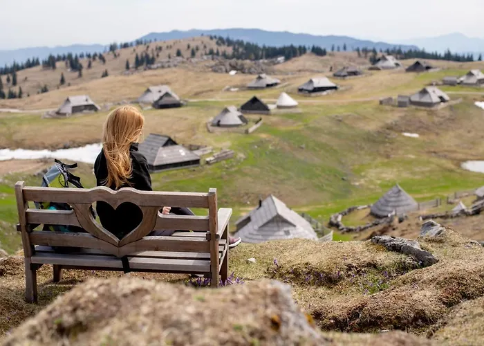 Kosutnik Velika Planina Kamniska Bistrica