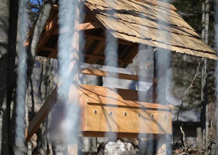 Kosutnik Velika Planina Kamniška Bistrica
