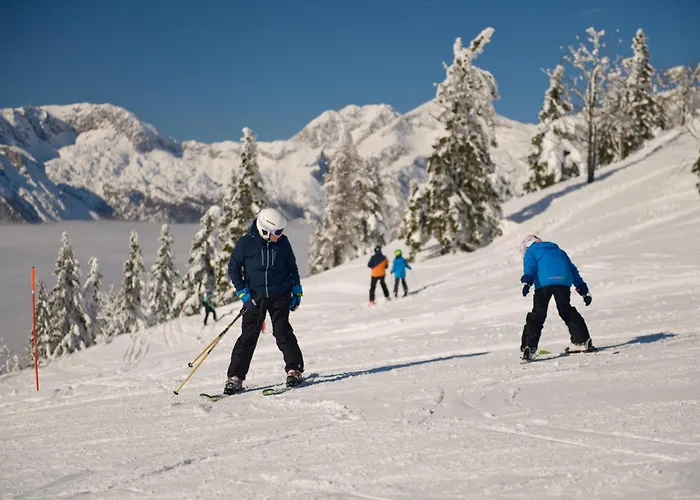Kosutnik Velika Planina シャレー
