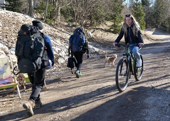 Kosutnik Velika Planina シャレー