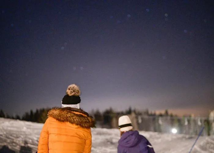 Kosutnik Velika Planina Chalet *