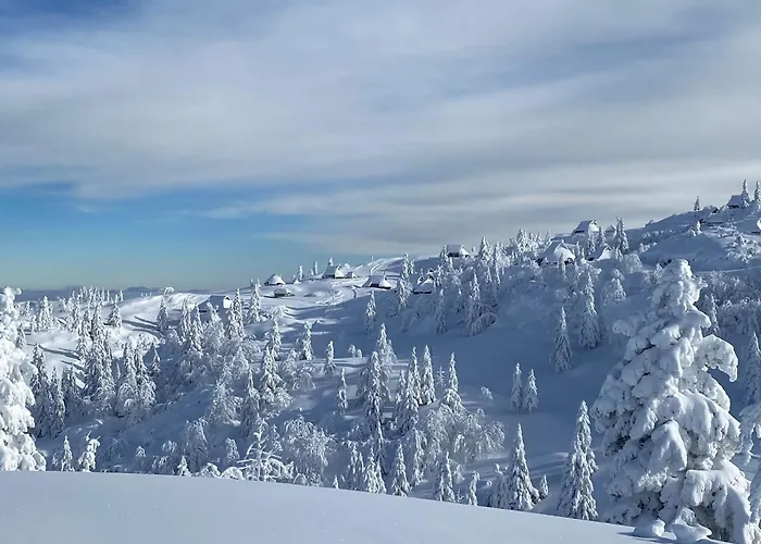 Kosutnik Velika Planina Kamniška Bistrica