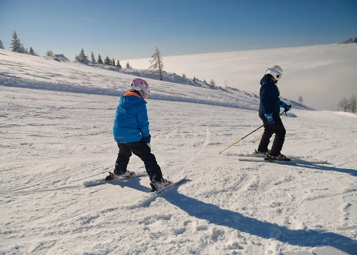 Kosutnik Velika Planina Kamniska Bistrica