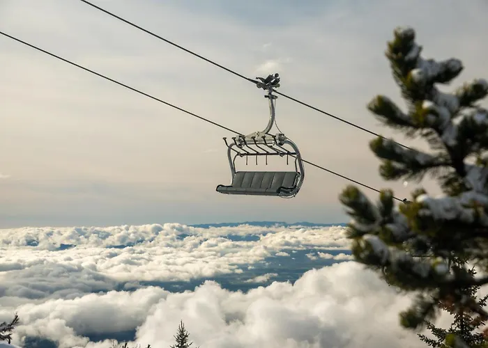Kosutnik Velika Planina Chalet
