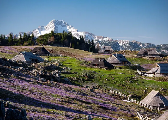 Kosutnik Velika Planina シャレー *