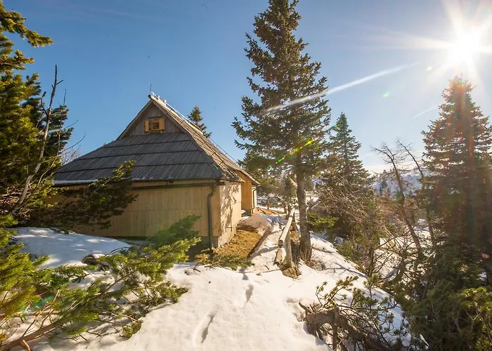 Chalet Kosutnik Velika Planina *