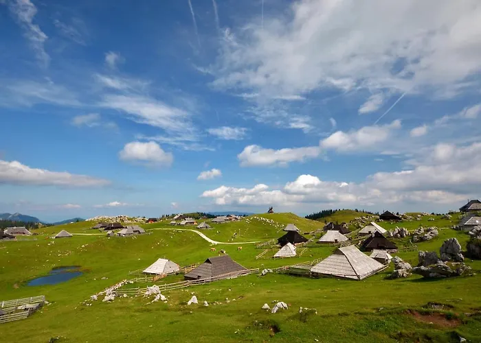Kosutnik Velika Planina Kamniska Bistrica