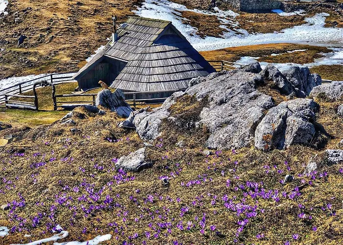 Kosutnik Velika Planina * Kamniska Bistrica