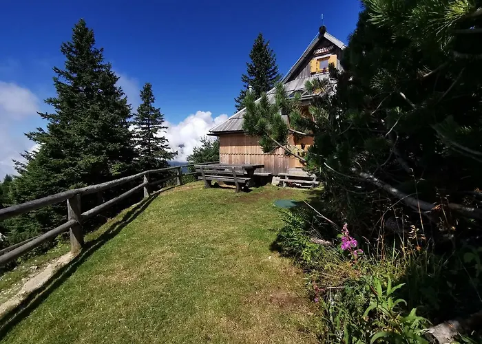 Kosutnik Velika Planina *