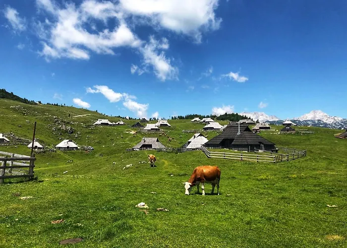 Chalet Kosutnik Velika Planina Kamniska Bistrica